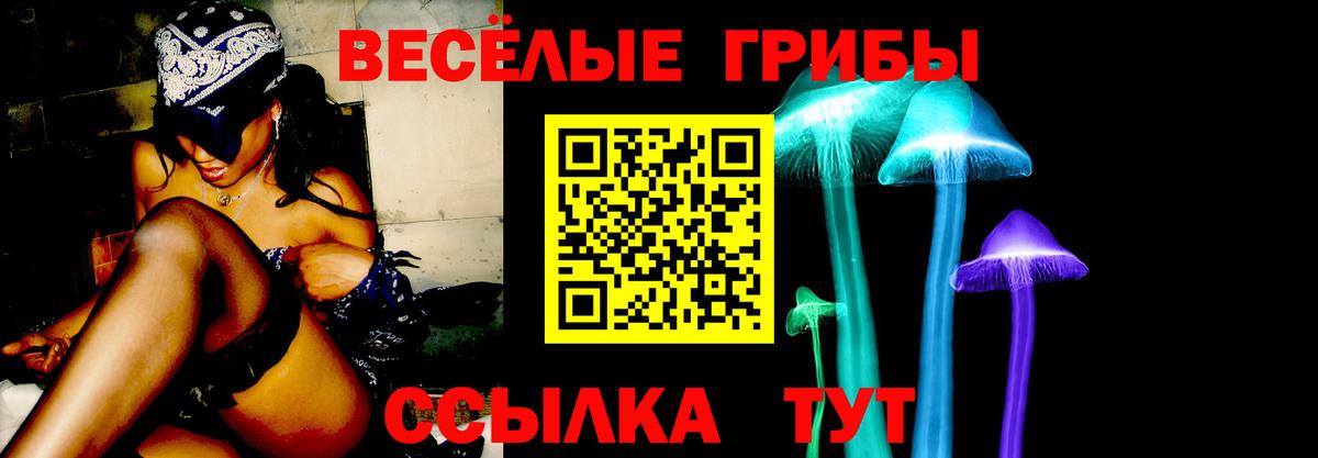 Егорьевск  Галлюциногенные грибы Cubensis  Вход с VPN  Псилоцибиновые грибы Psilocybine cubensis 